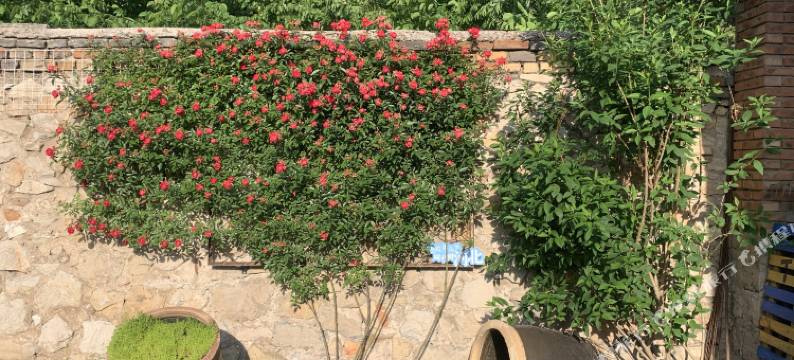 滦县寻乡1981精品民宿图片