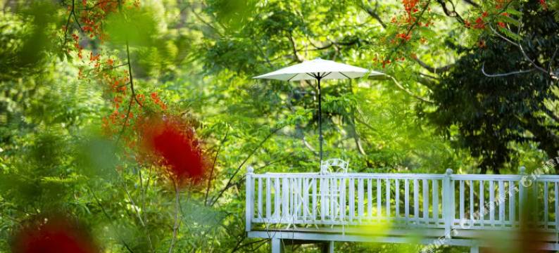 小凹子精品咖啡庄园图片