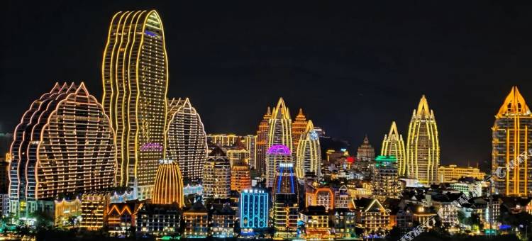 丽呈铂锐酒店(告庄店)图片