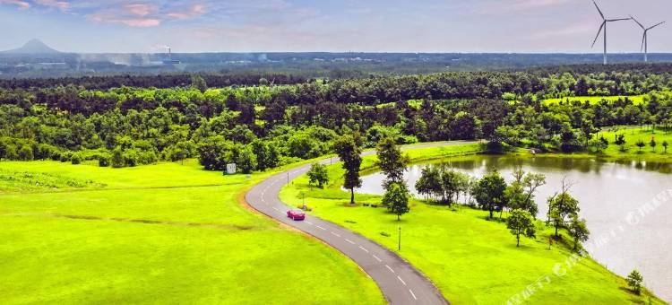 东海森林温泉度假酒店图片