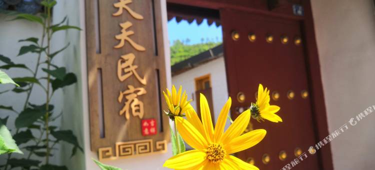 隆德老巷子天天民宿图片