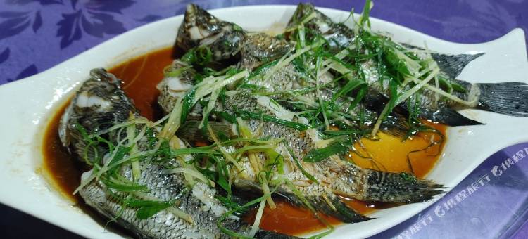 保亭悠然帐篷营地图片