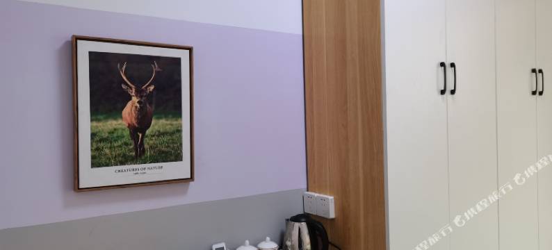 成都寓见公寓图片