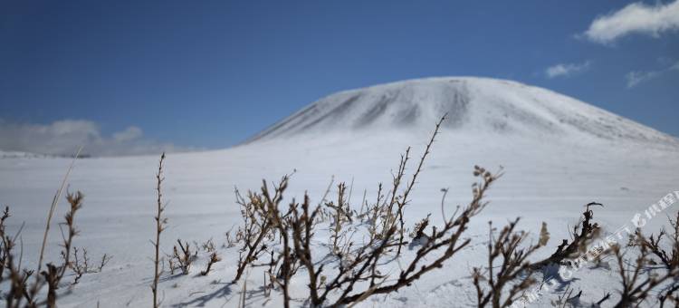 望山庭院(乌兰哈达火山地质公园店)图片