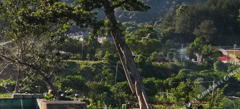 不负韶光·园林度假民宿(韶山故居店)图片