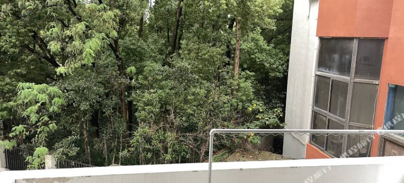 芜湖文豪酒店(中山路步行街古城店)图片