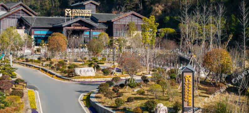 武功山凤颐温泉酒店图片