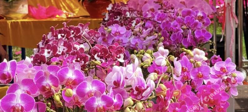 广州太古汇华师地铁站宜致美居图片