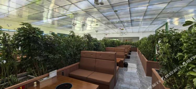 维也纳酒店(阿里革吉店)图片