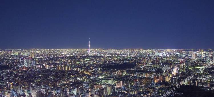 池袋永安国际精选酒店(Hotel Wing International Select Ikebukuro)图片