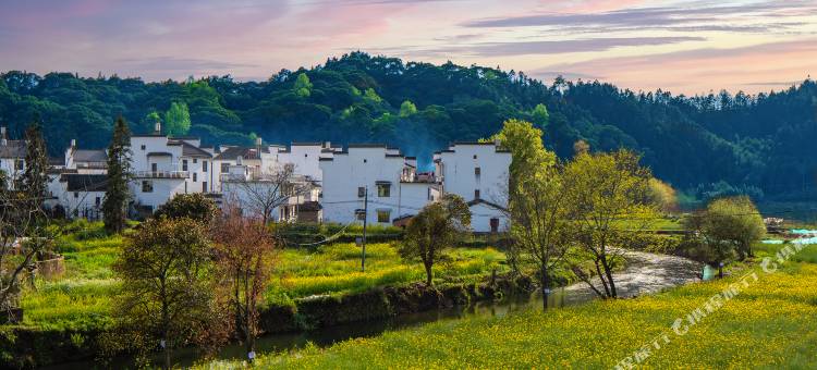 婺源花田溪千亩油菜花海旅拍酒店图片