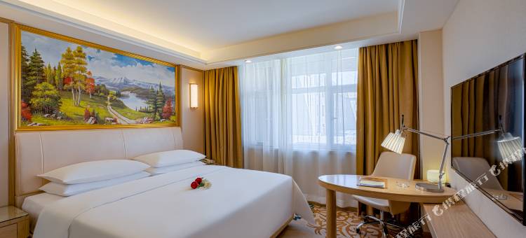 维也纳国际酒店(乌鲁木齐迎宾路天山国际机场店)图片