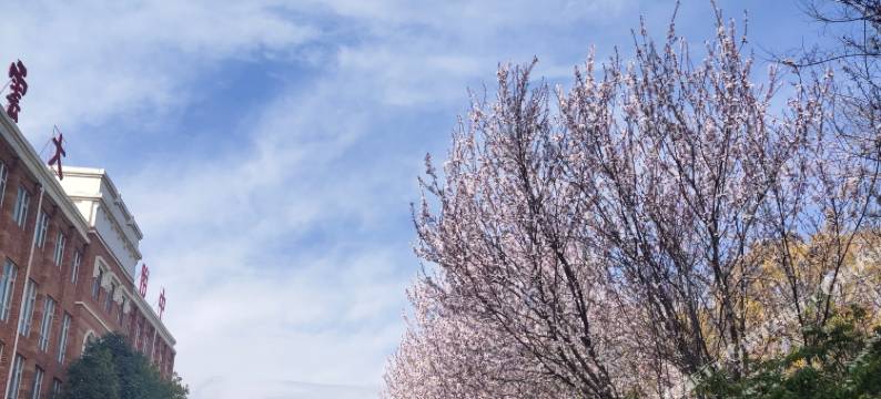 昆明紫院青年旅舍(星耀路地铁站店)图片