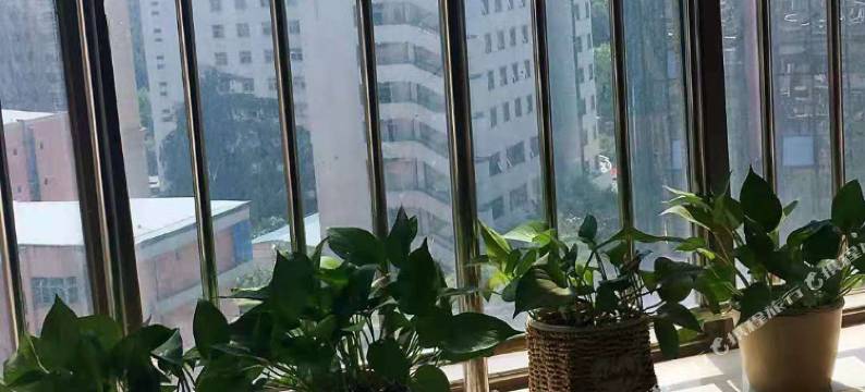 武汉徐东年少时期青年旅馆图片