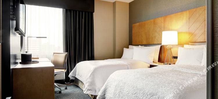 布鲁克林市中心希尔顿欢朋酒店(Hampton Inn Brooklyn Downtown)图片