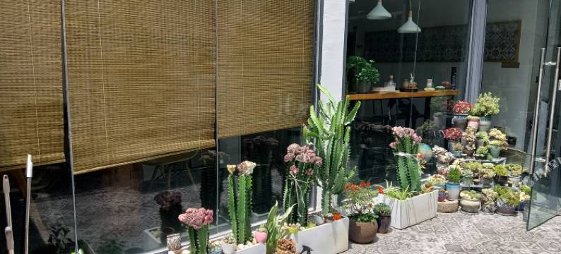傍山观海·海景亲子度假Villa美宿(厦门环岛南路曾厝垵店)图片