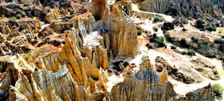 元谋金玉铭酒店图片