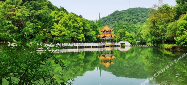 当阳堆桂苑户外民宿(玉泉寺景区店)图片