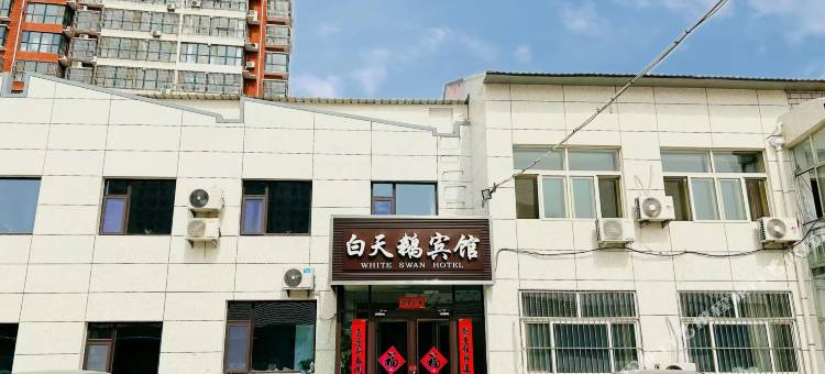 景县白天鹅宾馆图片