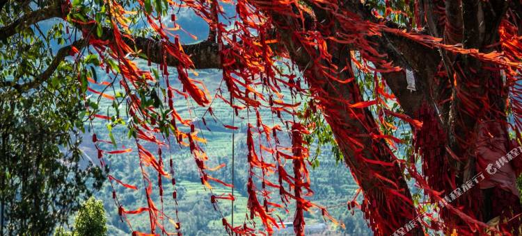 黑温泉私汤度假民宿图片