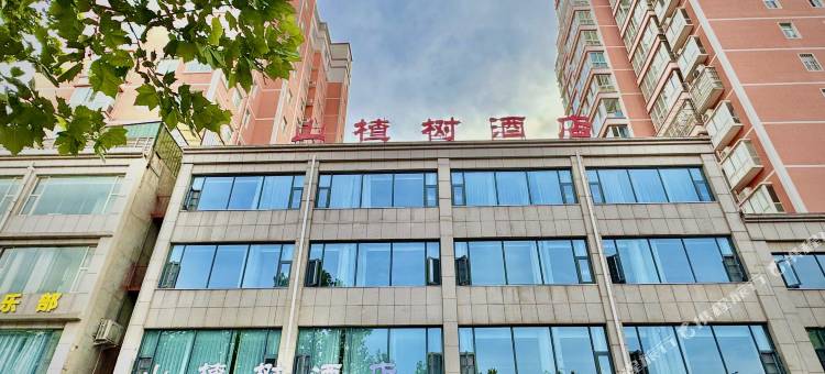 山楂树酒店(宜阳店)图片