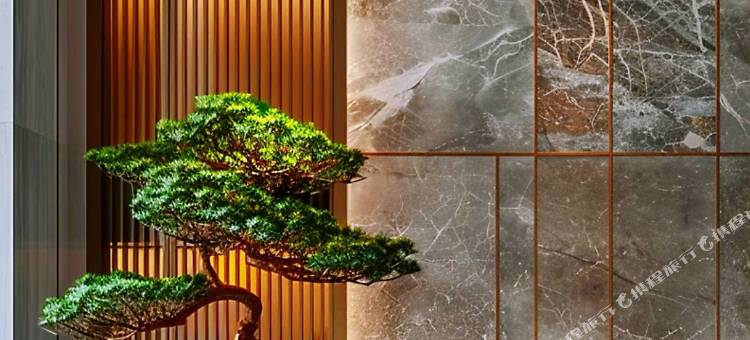 襄阳丰泽苑·大酒店(襄阳古城北街店)图片