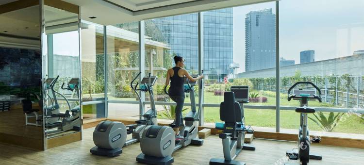 雅加达莱佛士酒店(Raffles Jakarta)图片