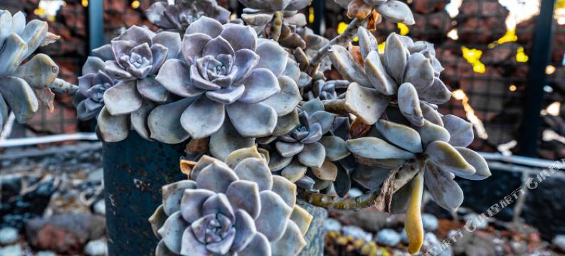 昆明三合仙龙温泉酒店(同仁医院店)图片