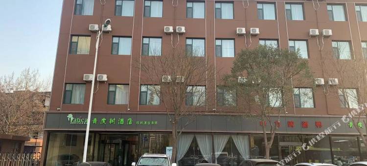 青皮树酒店(晋中榆次印象城火车站店)图片