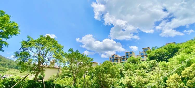 惠州广东都市别墅之家图片