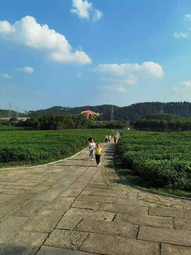 竹茶精舍•独栋庭院度假民宿图片