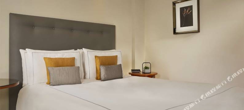 伦敦维多利亚丽亭酒店(Park Plaza Victoria London)图片