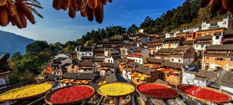 婺源邻溪有客民宿(篁岭景区店)图片