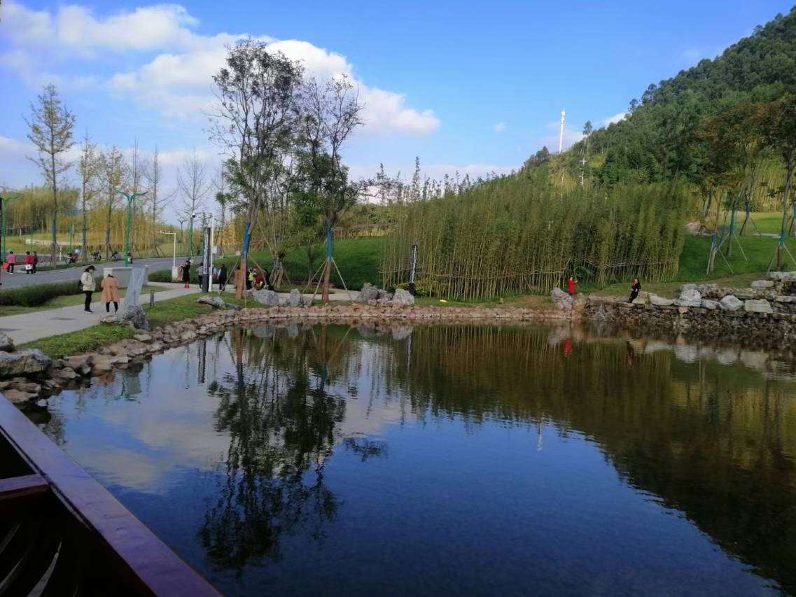 麗枫酒店(宜宾大学城会展中心店)图片
