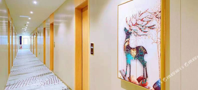 禾枫国际公寓(广州南站番禺长隆店)图片