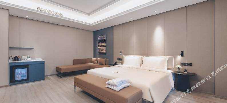 合肥正大广场繁华大道亚朵X酒店图片