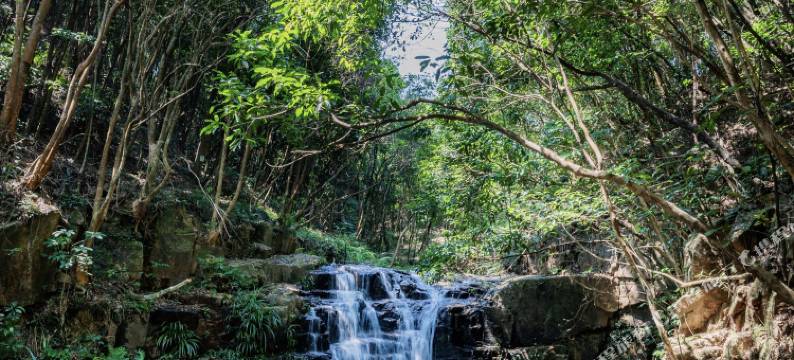 广州世间香境七溪地椿香舍民宿图片