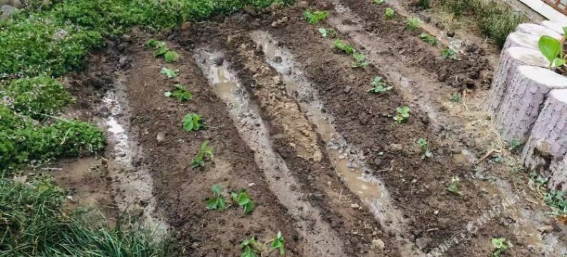 洛阳城市印象商务酒店(王城公园地铁站店)图片