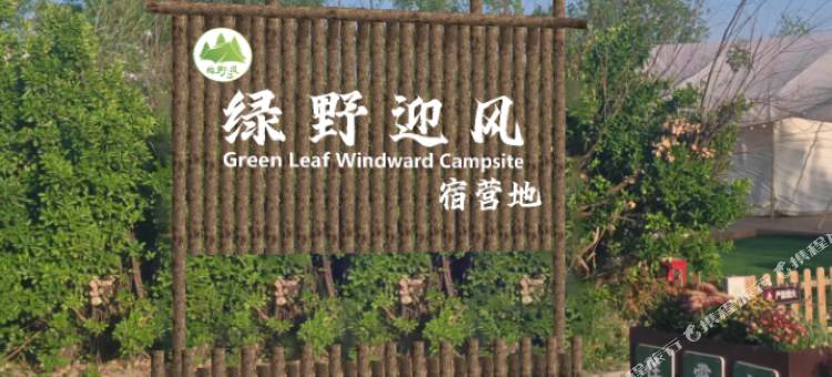 绿野迎风民宿(黄河入海口店)图片