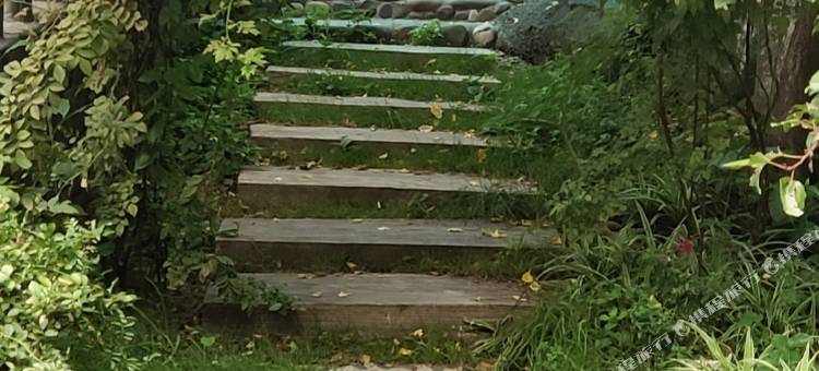 九龙溪韵农庄图片