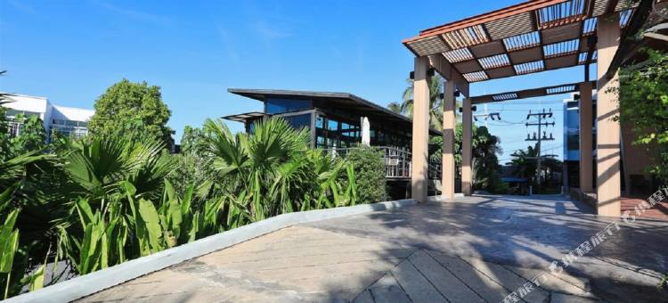 Relife Windy by Holy Cow B221图片