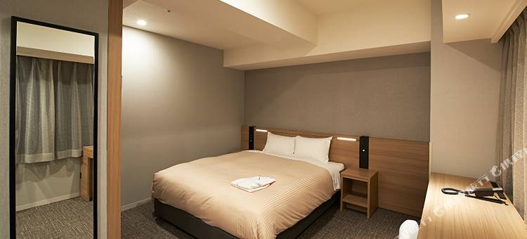 相铁FRESA INN-东京神田(Sotetsu Fresa Inn Tokyo Kanda)图片