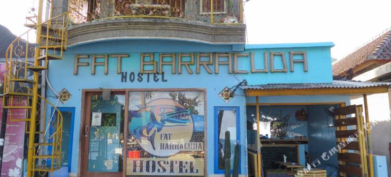 法特巴拉库达旅舍(Fat Barracuda Hostel)图片