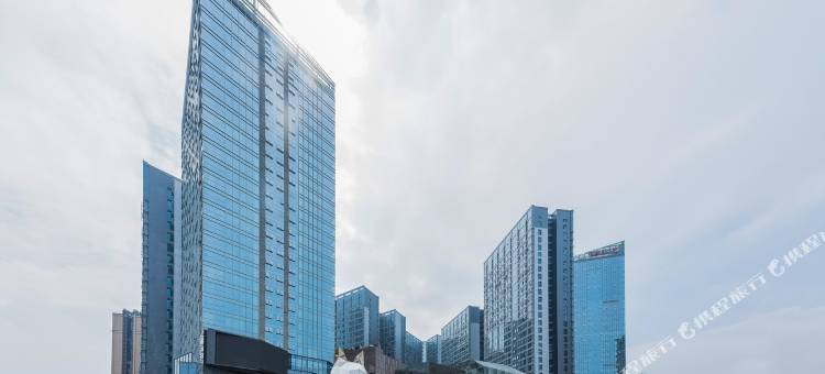 三月与猫设计师公寓(成都东站奥园广场店)图片