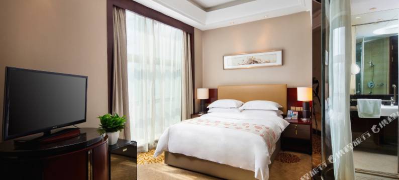 郑州东站天鹅城国际饭店图片