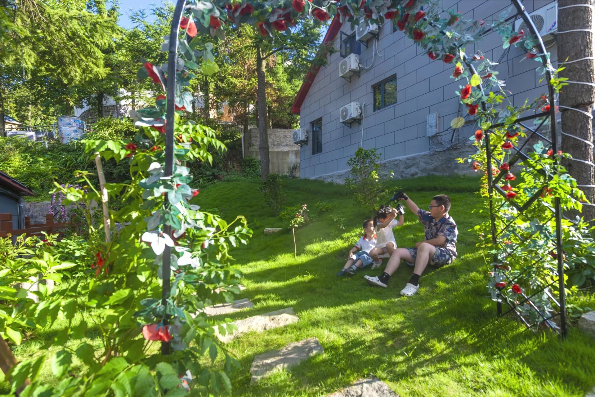 Bird's nestOver view