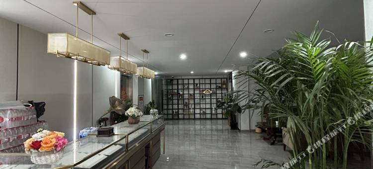 深圳图个乐公寓(坪山高铁站店)图片