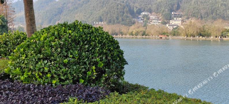 心庐·天沐温泉谷79号温泉别墅图片