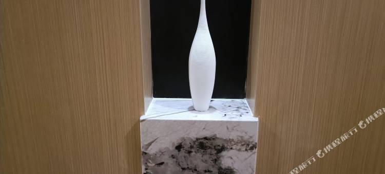 尼勒克则库大酒店(第四师七十九团店)图片