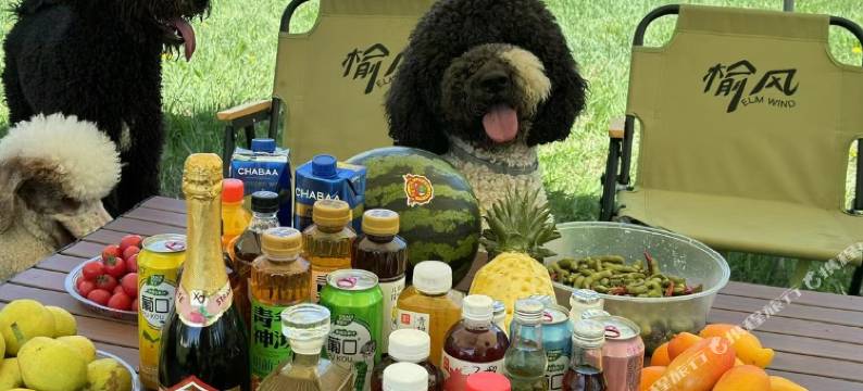 榆风野奢营地民宿(芦草沟店)图片